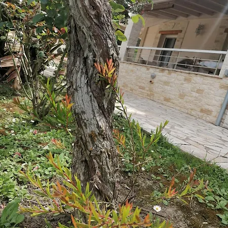 Makis * アリラス