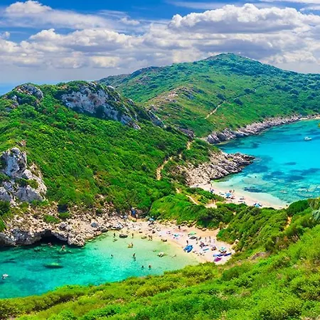 Makis