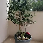 Apartmán Makis Arillas (Corfu)