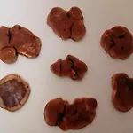 Apartmán Makis *